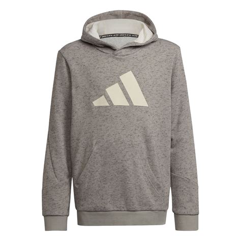 adidas hoodie kind grijs|Adidas sport hoodie.